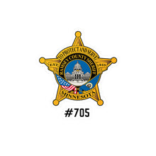 Load image into Gallery viewer, RCSO - Vinyl Decals