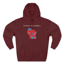 Load image into Gallery viewer, I'm from a blue state... Wisconsin