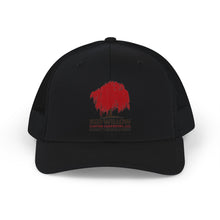 Load image into Gallery viewer, Red Willow Carpentry Snap Back
