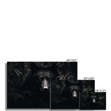 Load image into Gallery viewer, Black Bear Rolled Canvas
