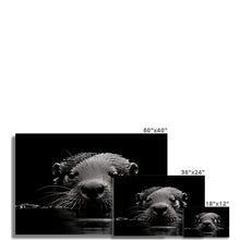 Load image into Gallery viewer, Otter Photo Art Print
