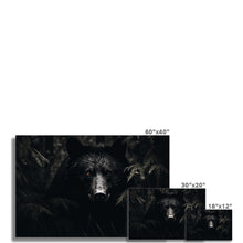 Load image into Gallery viewer, Black Bear Photo Art Print
