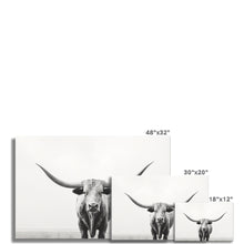 Load image into Gallery viewer, Longhorn Rolled Canvas
