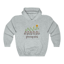 Load image into Gallery viewer, Be Gentle Hoodie
