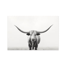Load image into Gallery viewer, Longhorn Wall Art Poster
