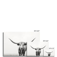 Load image into Gallery viewer, Longhorn Photo Art Print
