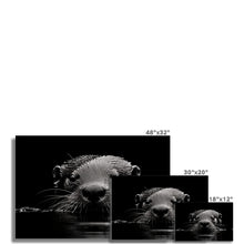 Load image into Gallery viewer, Otter Rolled Canvas

