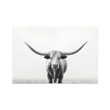 Load image into Gallery viewer, Longhorn Photo Art Print
