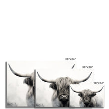 Load image into Gallery viewer, Highland Bull Photo Art Print
