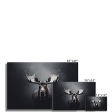 Load image into Gallery viewer, Moose Photo Art Print

