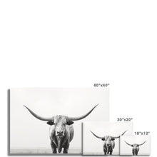 Load image into Gallery viewer, Longhorn Wall Art Poster
